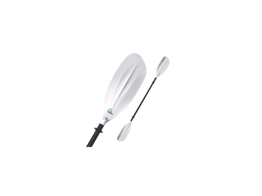 Palm Vision Super-Preis