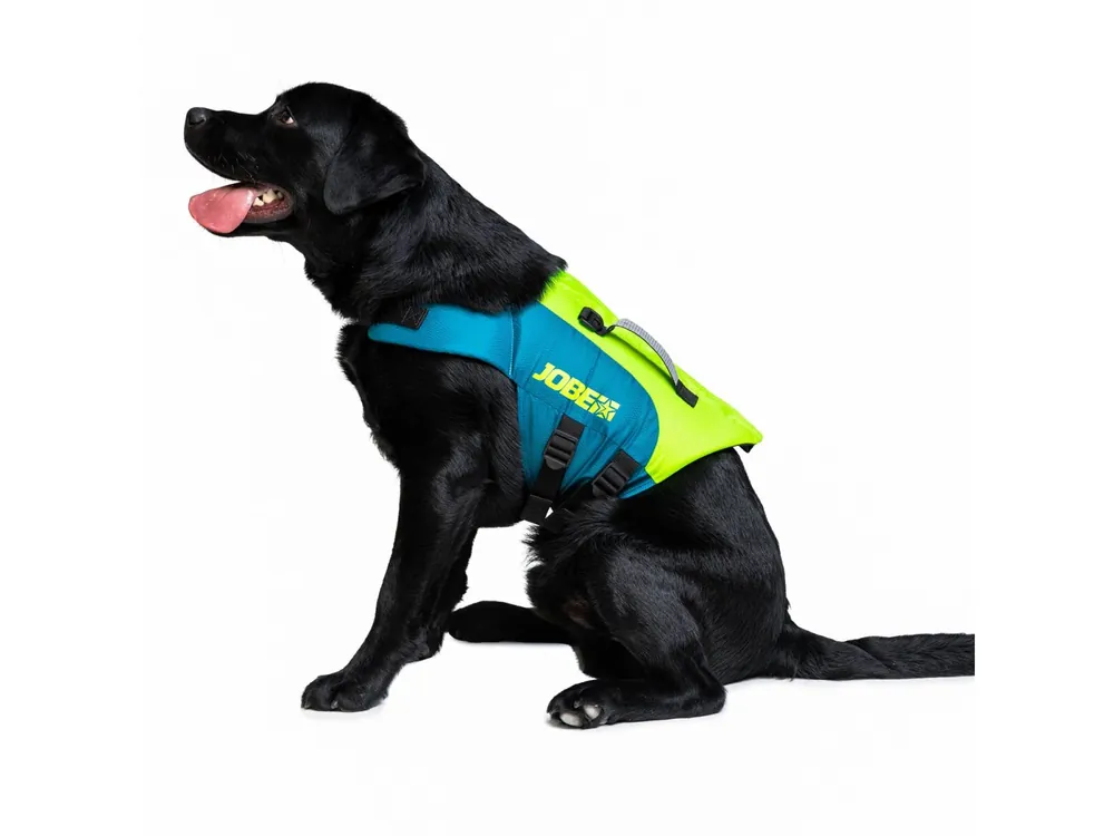 Top-Seller Jobe Pet Hundeschwimmweste