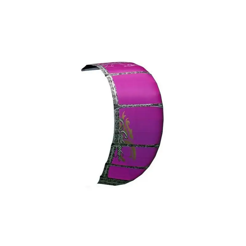 Cabrinha Crossbow 2010 IDS 9 Kite Saisonangebot