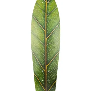 HW-Shapes MINI CRUISER Glasfaser Deck Blatt Design Zertifiziert