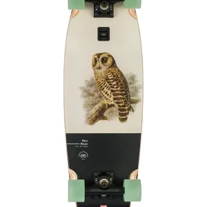 Globe Wave Blazer 31" Longboard Komplettboard Hoot Owl Nur Für Kurze Zeit