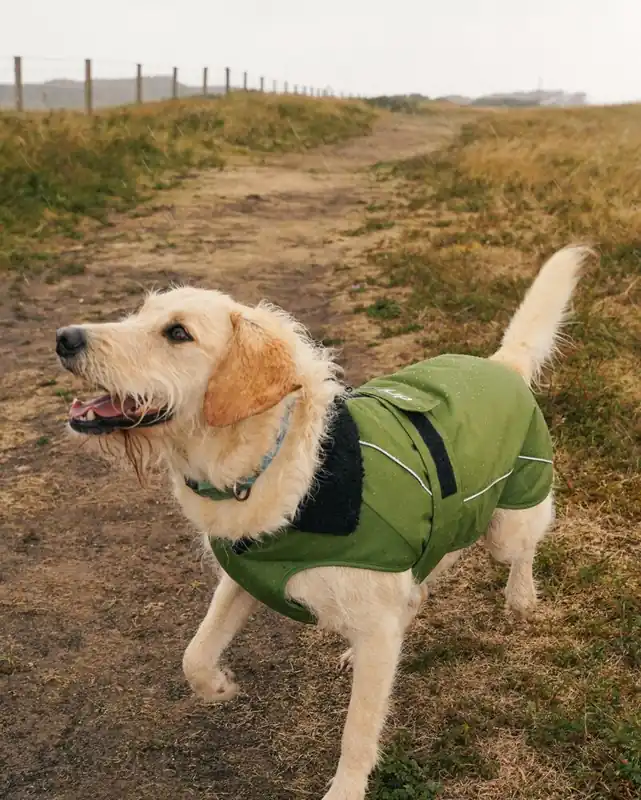 DRYROBE Dog Coat Hundemantel Dunkelgrün Schwarz M Preis Gesenkt