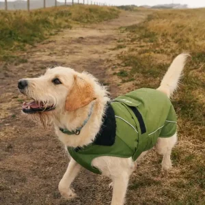 DRYROBE Dog Coat Hundemantel Dunkelgrün Schwarz XS Mega-Angebot