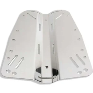 Sonderangebot DIRZONE Edelstahl Backplate poliert 6mm